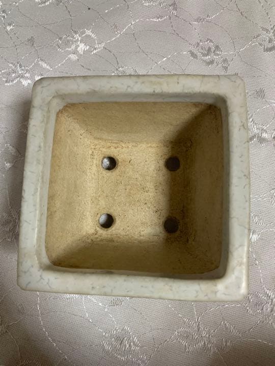 樹晃　正方　盆栽鉢