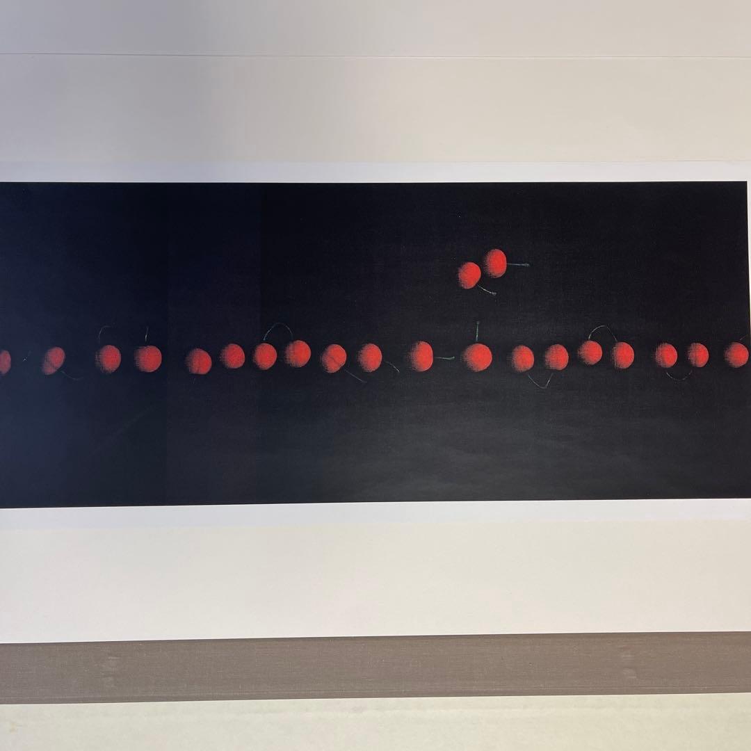 浜口陽三自作作品集