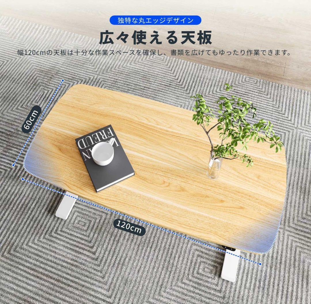 FlexiSpot T3 電動昇降デスク