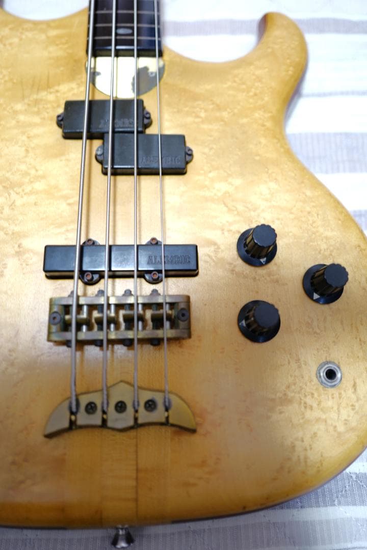 限定！ Alembic Persuader Fretless エポキシ