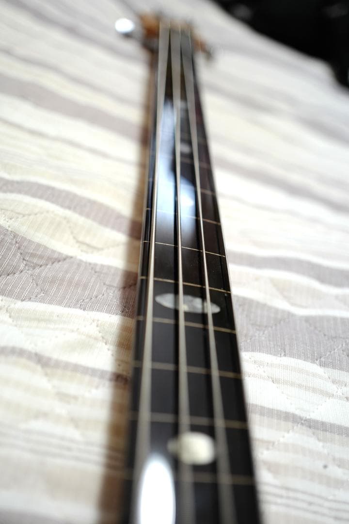 限定！ Alembic Persuader Fretless エポキシ