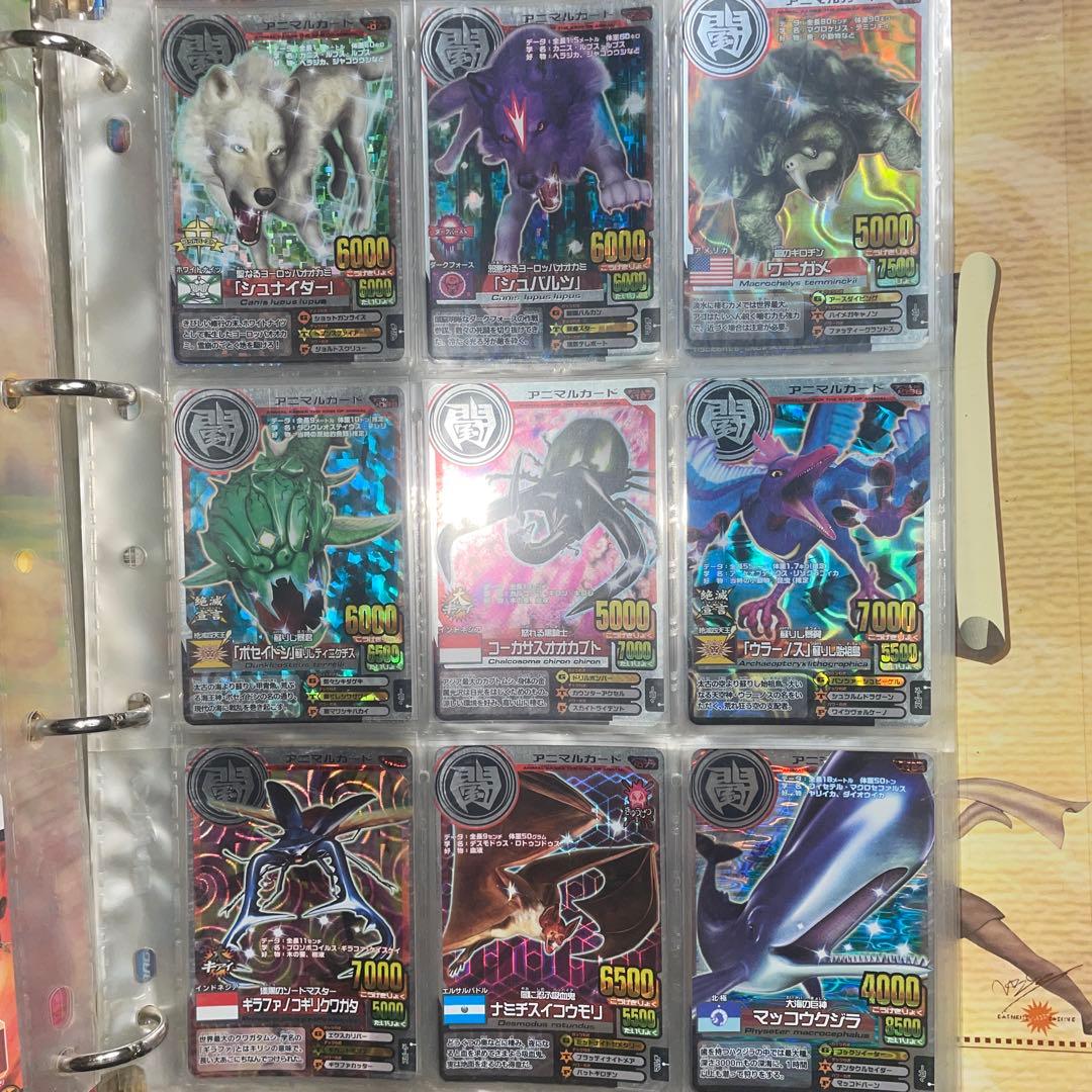 アニマルカイザー　まとめ売り