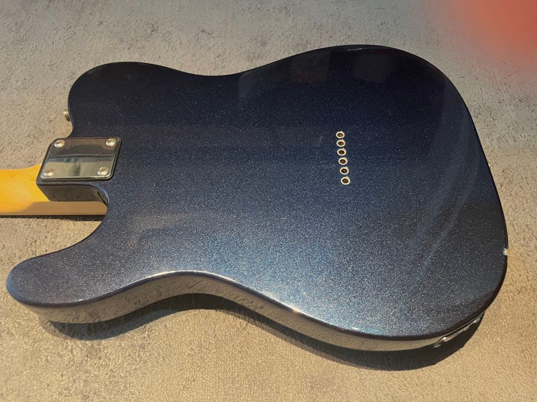 Bacchus テレキャスター カスタム品 エレキギター　ソフトケース付き