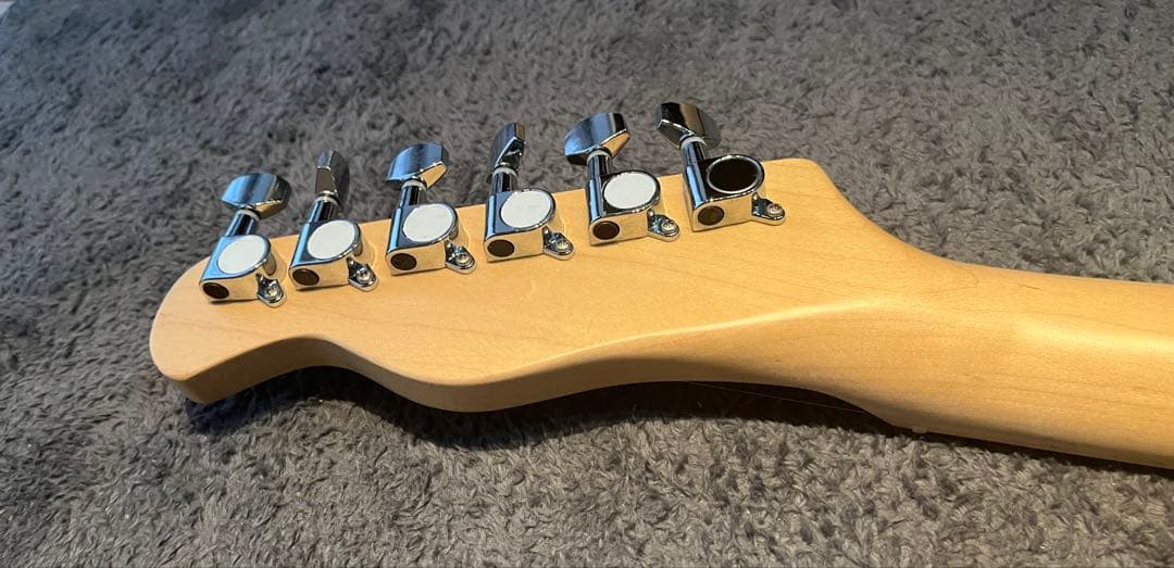 Bacchus テレキャスター カスタム品 エレキギター　ソフトケース付き