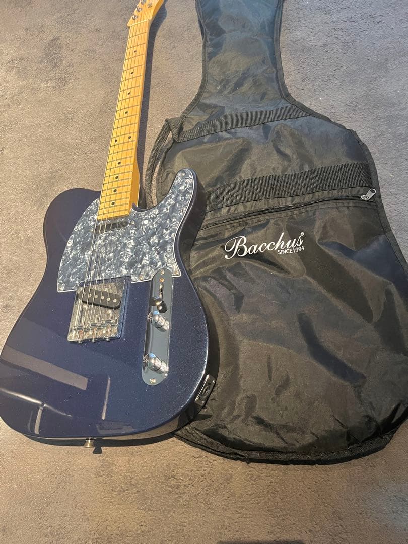 Bacchus テレキャスター カスタム品 エレキギター　ソフトケース付き