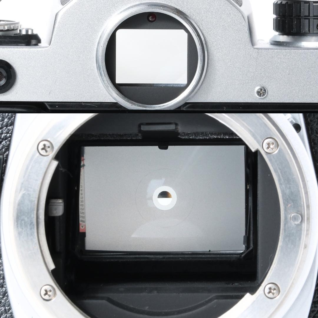 綺麗 Nikon FE Silver