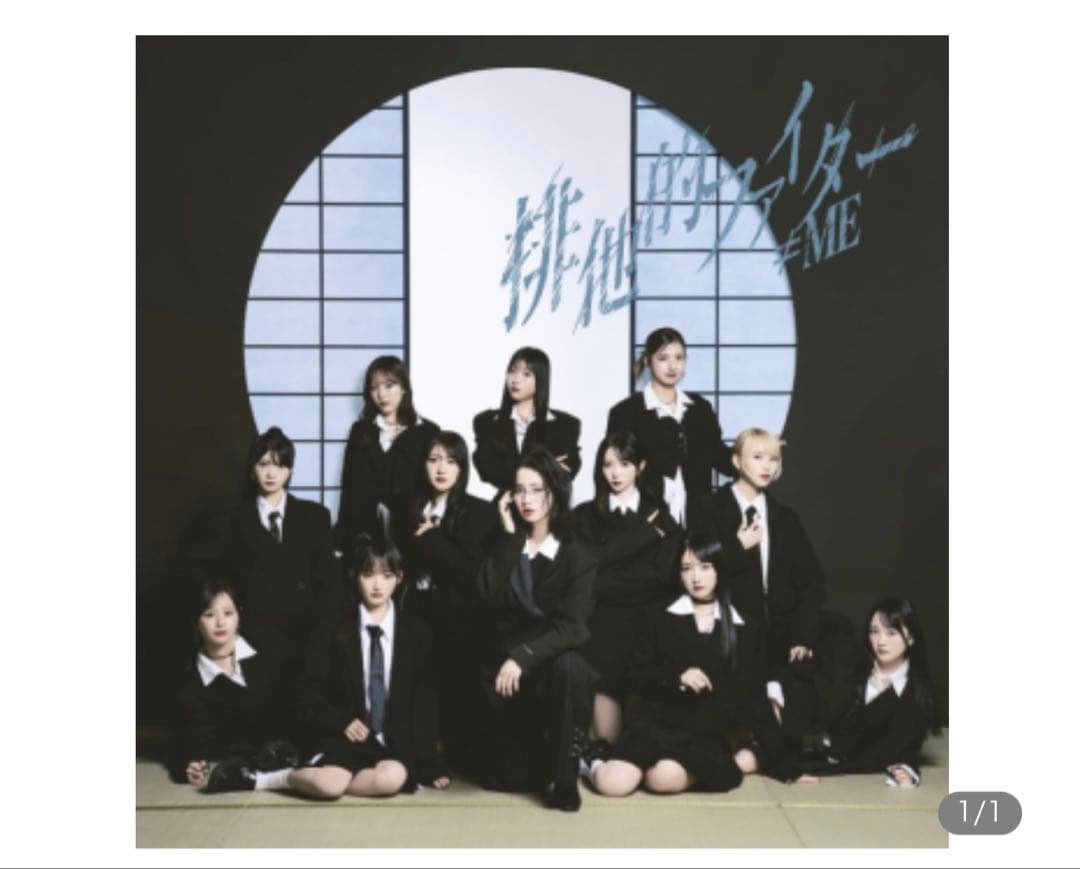 排他的ファイター