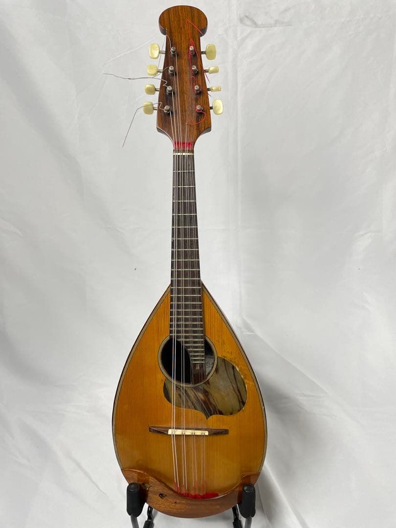 ラファエレ・ カラーチェ マンドリン No.24