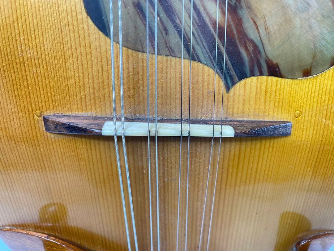 ラファエレ・ カラーチェ マンドリン No.24