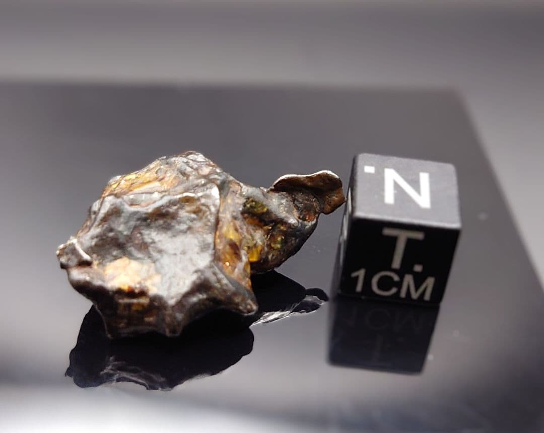 隕石 ゴールデン パラサイト⭐