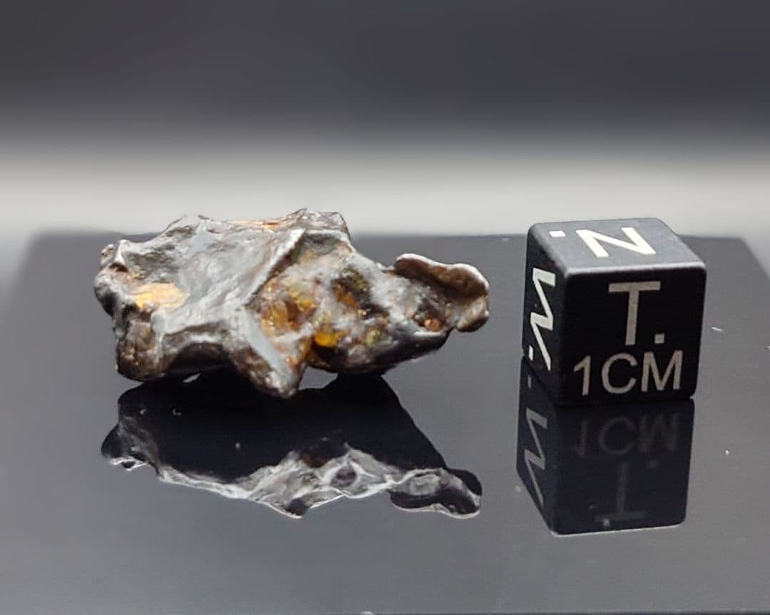 隕石 ゴールデン パラサイト⭐