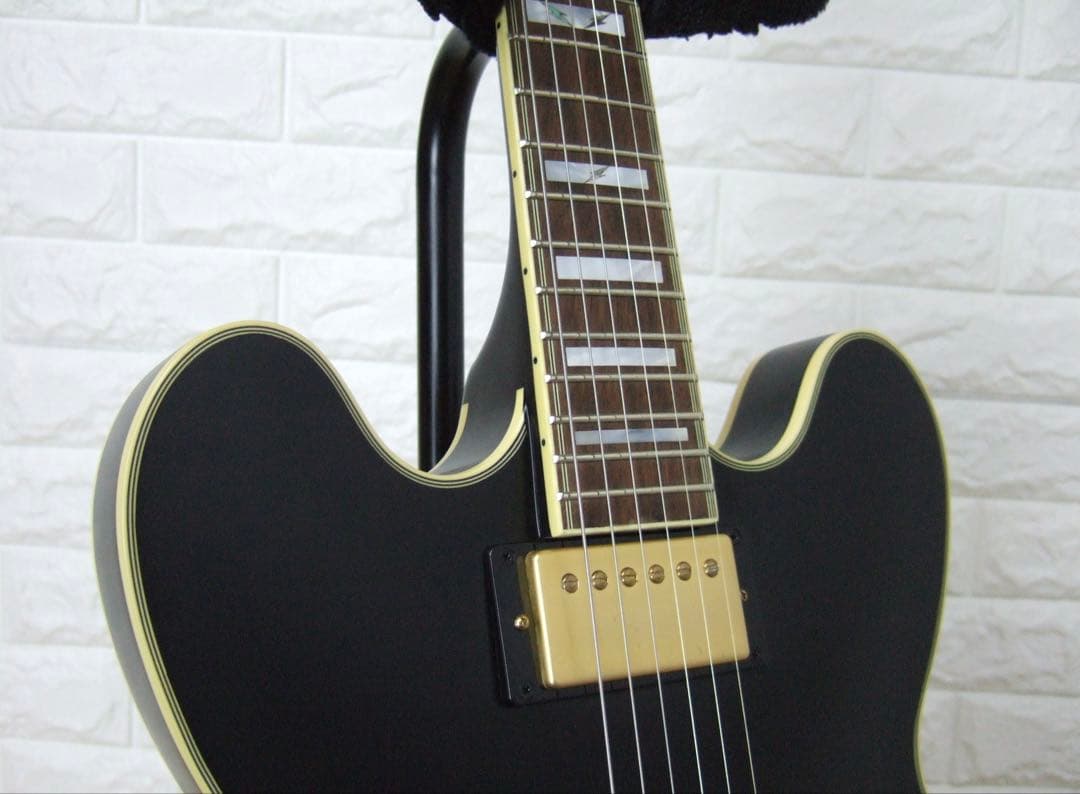 Epiphone Emily Wolfe Sheraton エミリー・ウォルフ