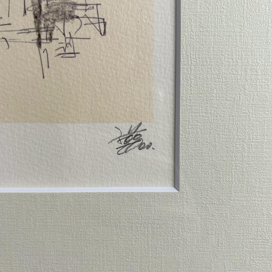 美品 チューヤン「鹿児島」ミクスドメディア 直筆サイン入 電波少年