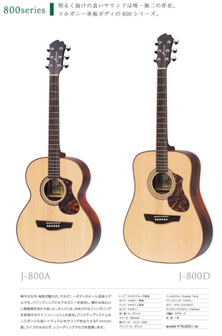 James J-800D ジェームズ★オール単板 エレアコ