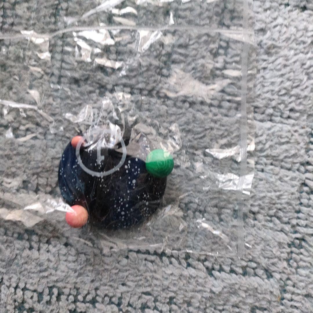 ドラカプ　ブルマ