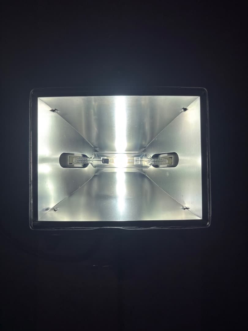 希少／SUN LIGHT REX70／メタハラ