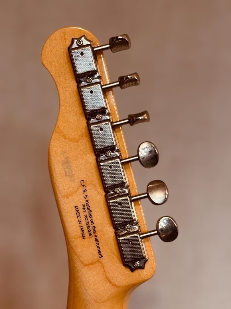 ギター Fujigen NTL10RAH-WB/01