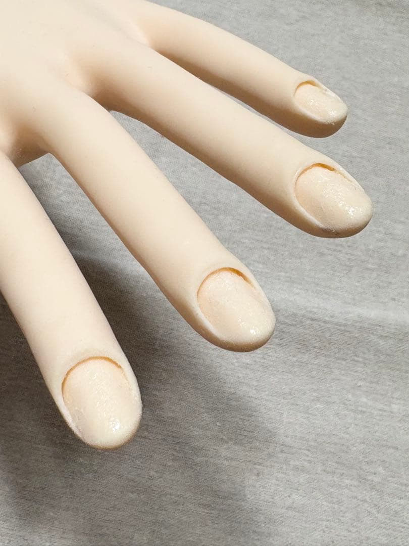 JNEC認定モデルハンド　チップ付き