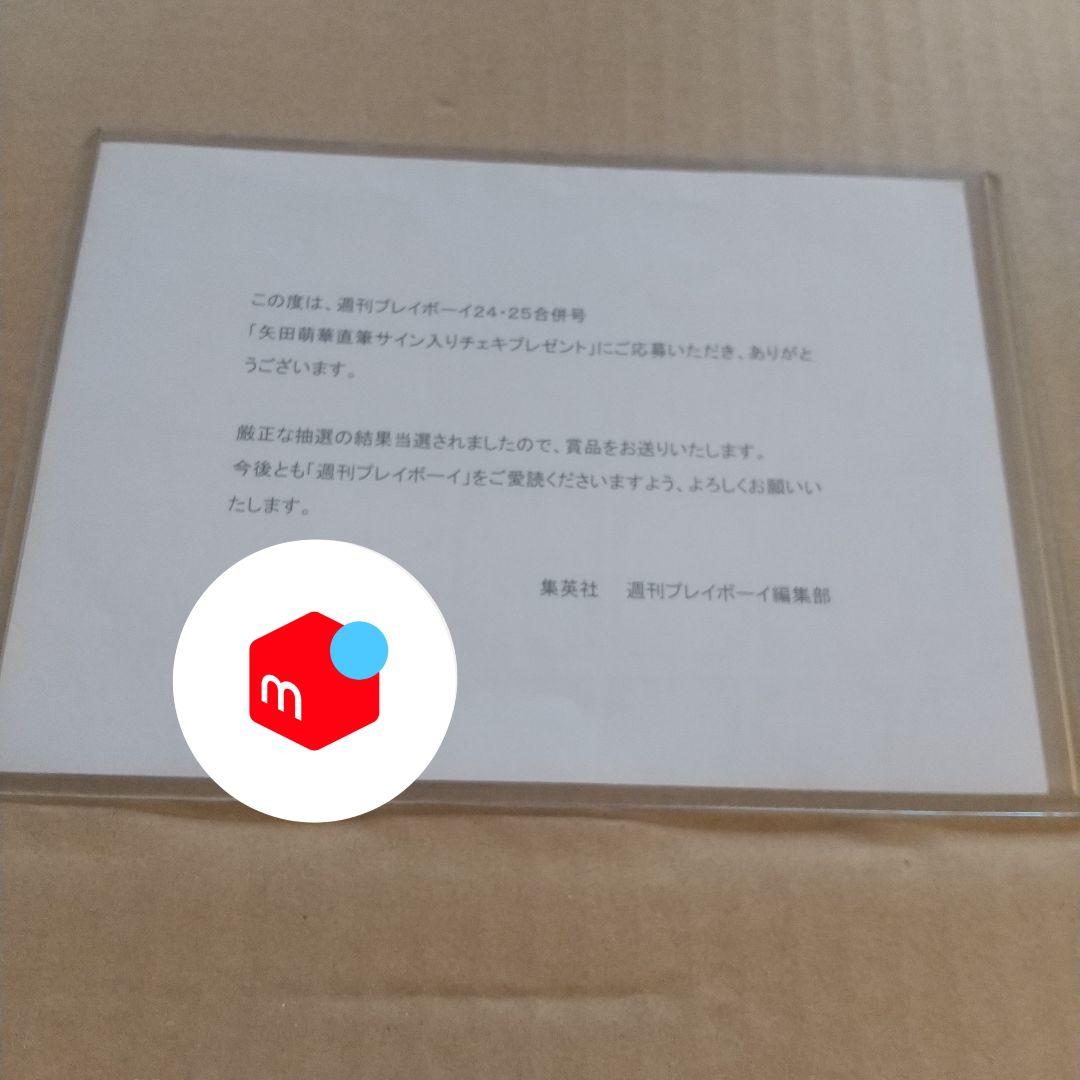 乃木坂46 矢田萌華 6期生 直筆サイン入りチェキ 抽プレ当選 非売品 1点もの