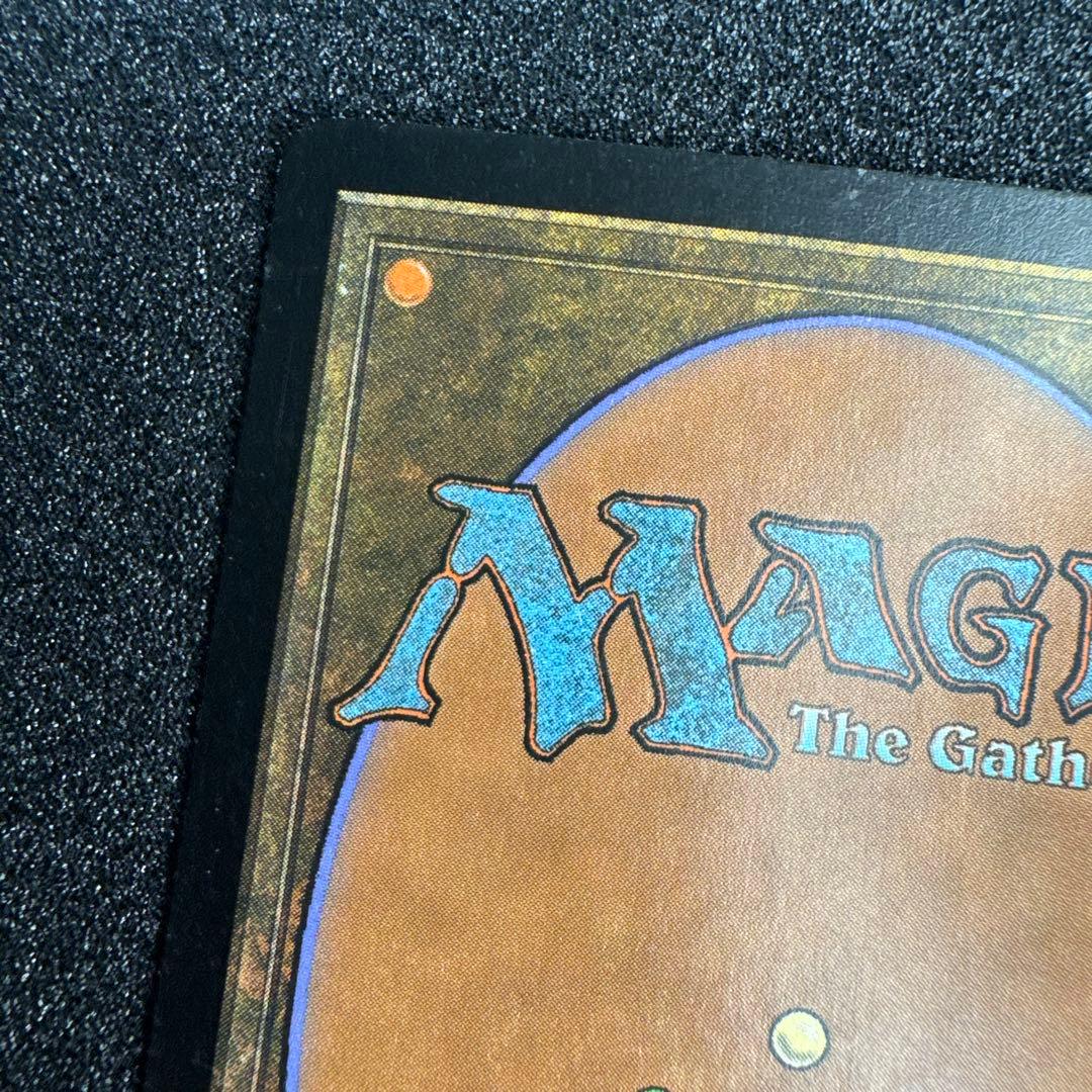 MTG EDH セファリッドの幻術師 foil 日本語 トーメント