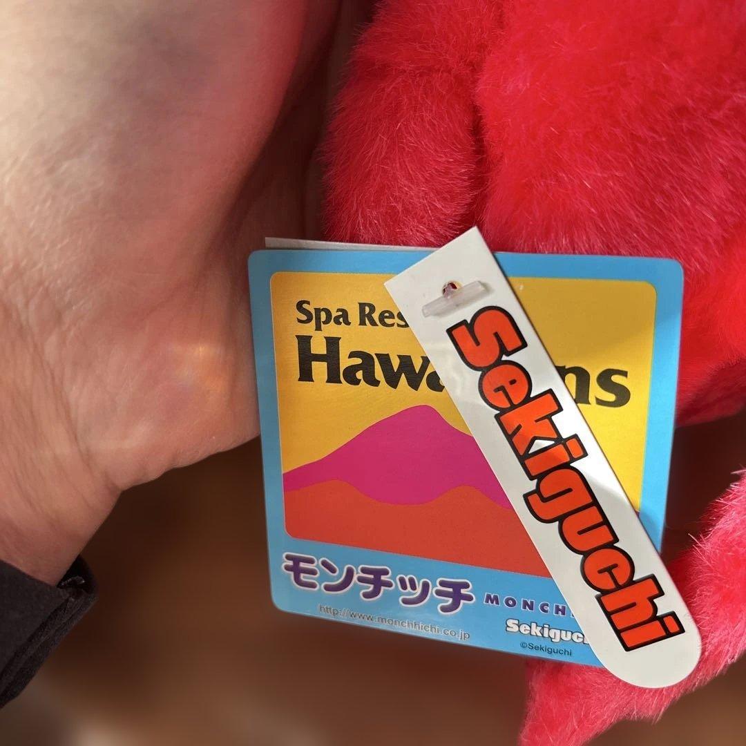 【レア・美品】ご当地 スパリゾートハワイアンズ 限定 モンチッチ