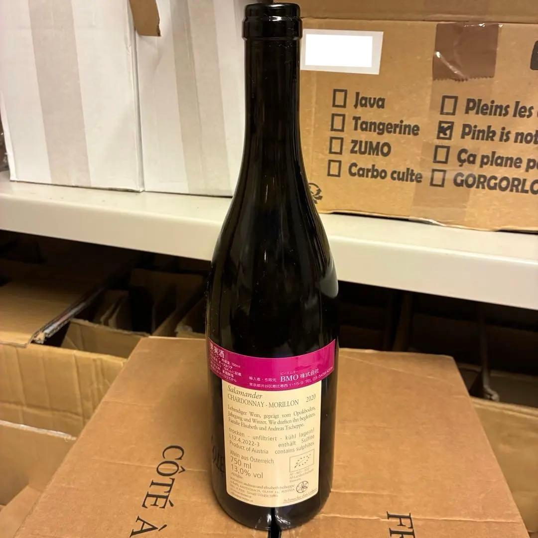 アンドレアスツェッペ　Salamander 2020