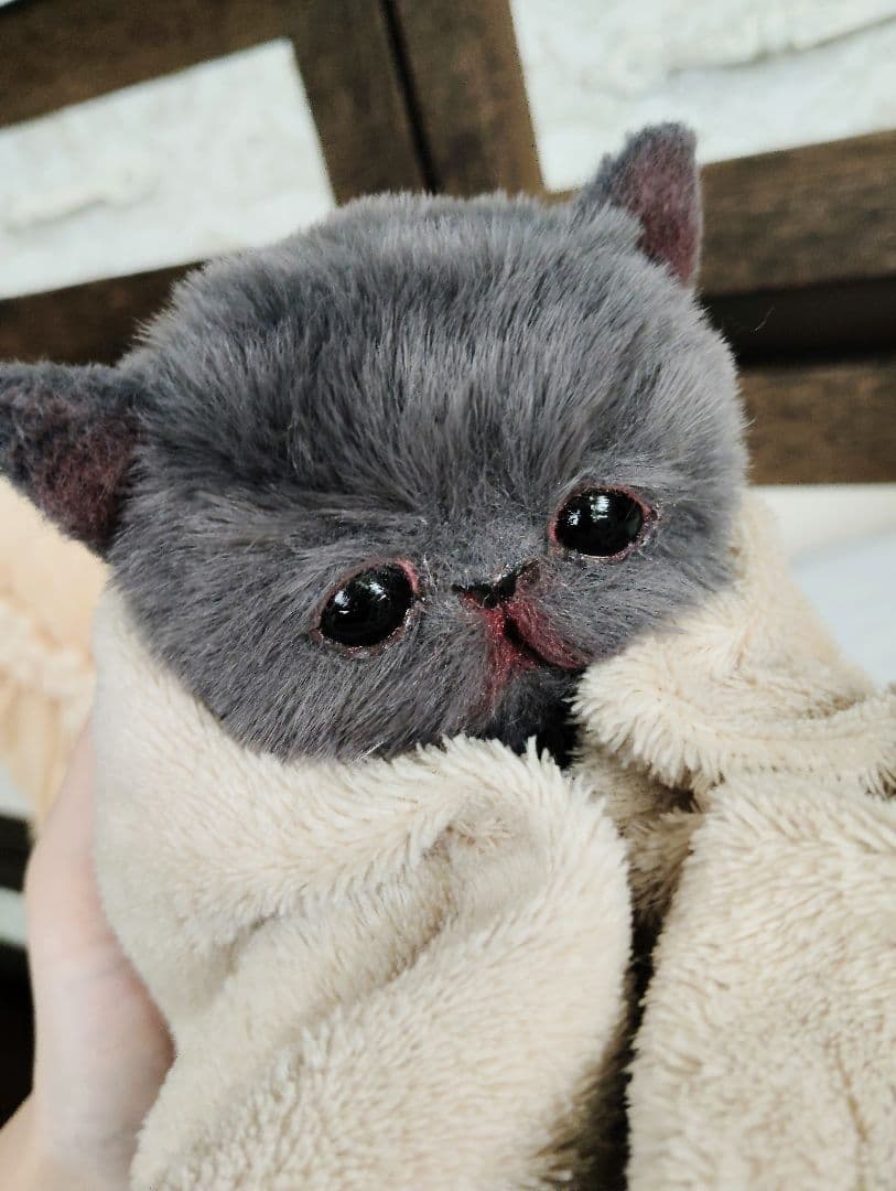 もち様オーダー❤子猫の黒豆ちゃん♡アートドール♡ぬいぐるみ♡