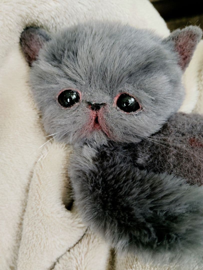 もち様オーダー❤子猫の黒豆ちゃん♡アートドール♡ぬいぐるみ♡