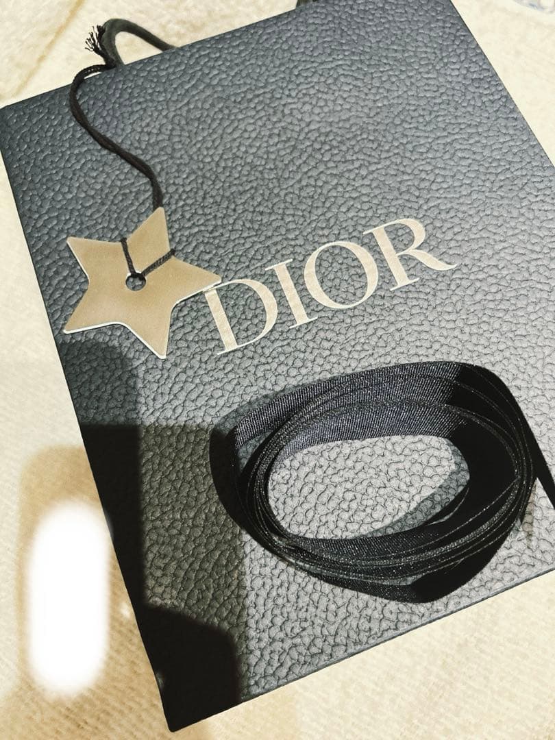 クリスチャンディオール　手袋　メンズ