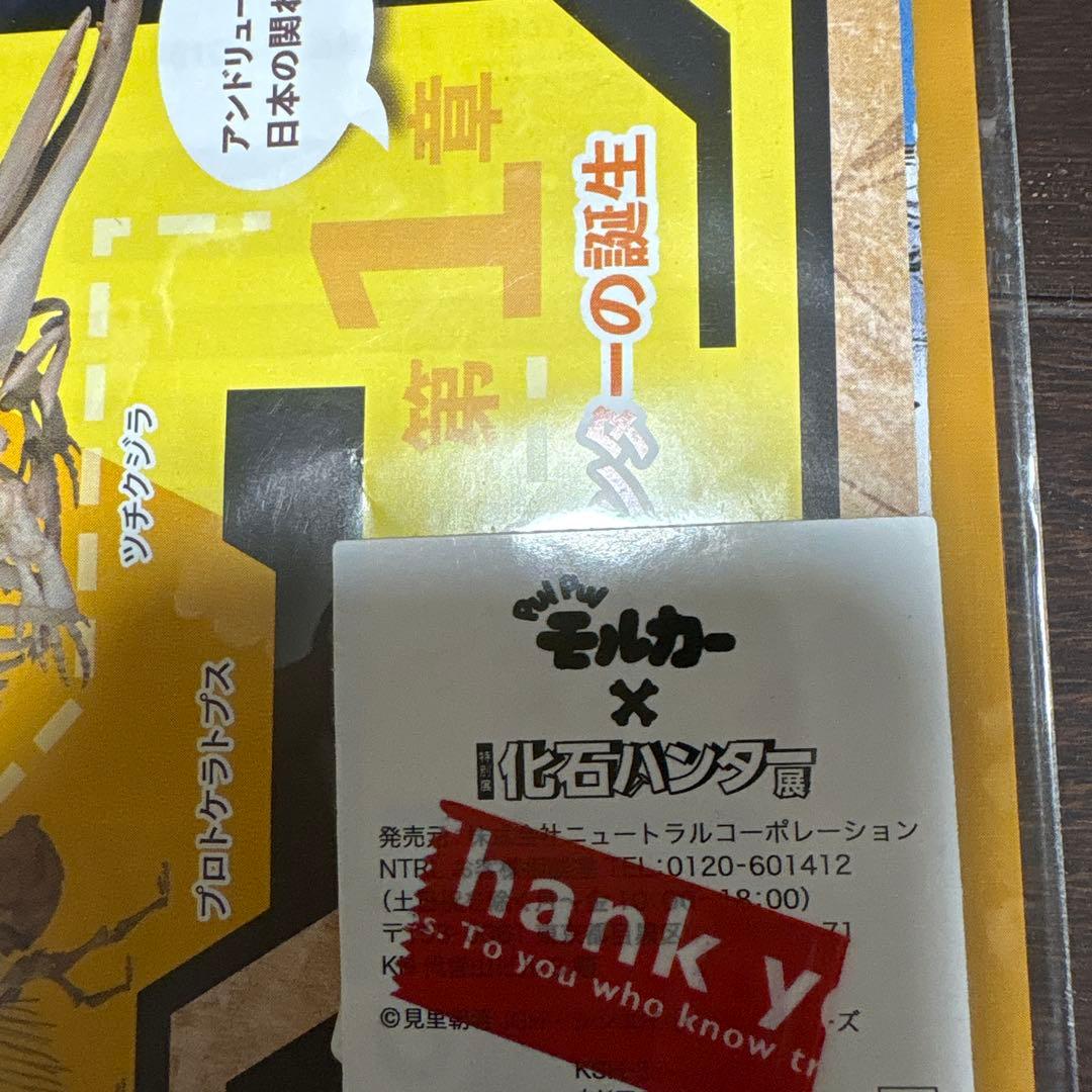 プイプイモルカー 化石ハンター　デザインクリアファイル