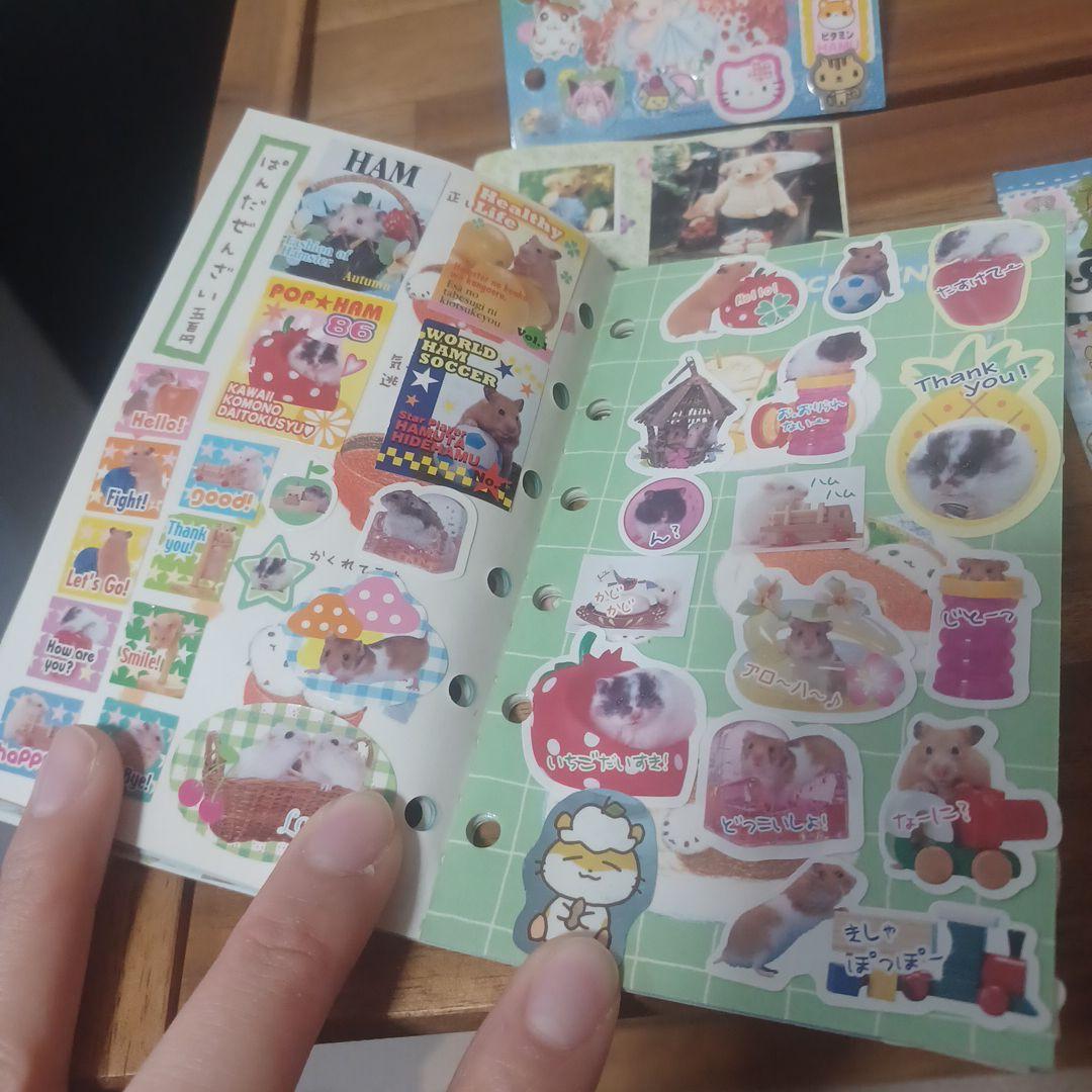 日曜まで50000円