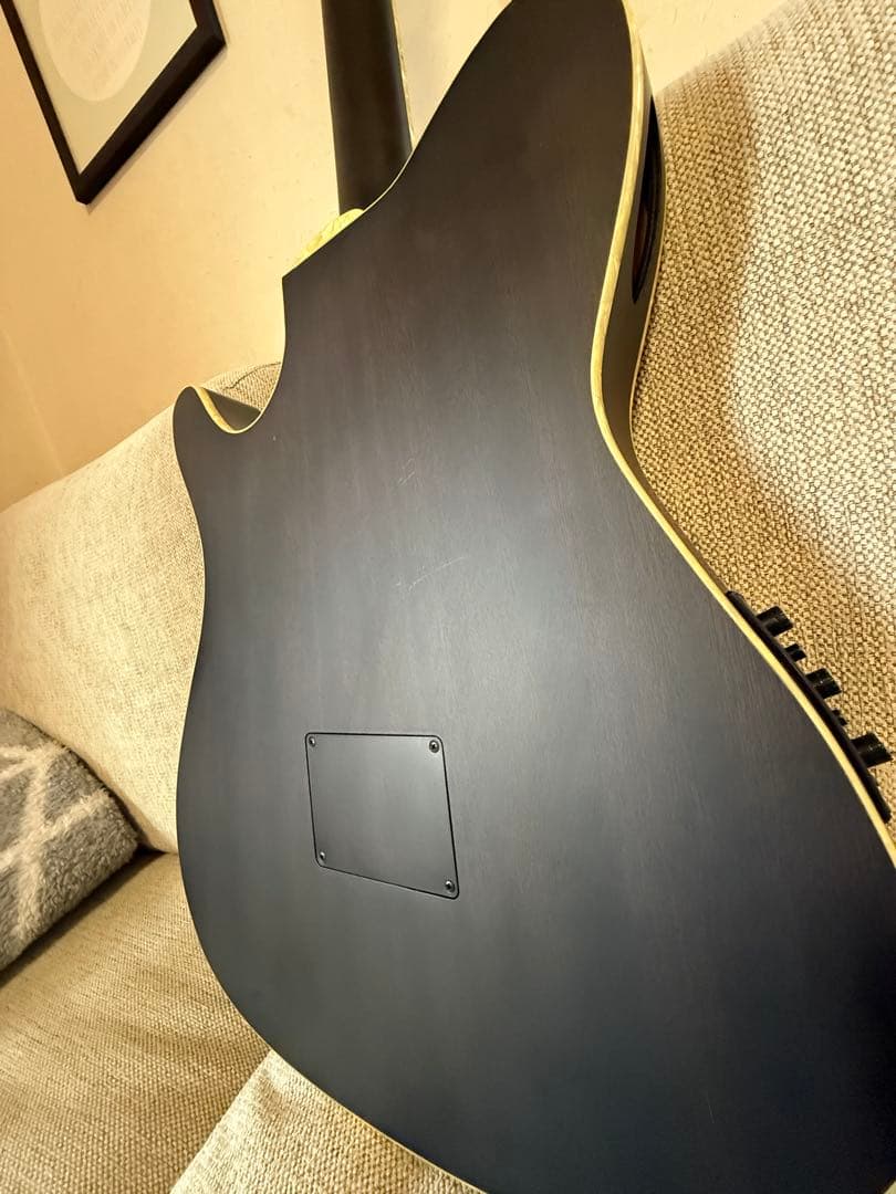 Ibanez TOD10N ナイロン弦 Tim Hensonモデル