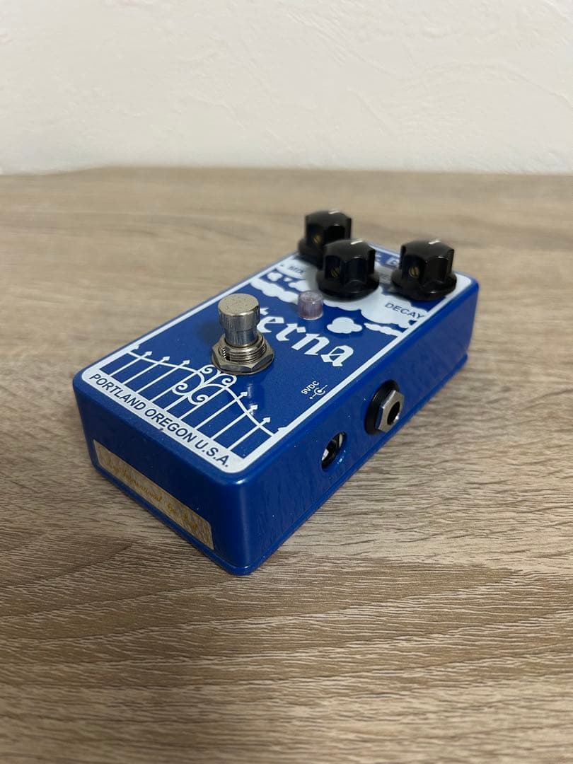 Mr. Black eterna ギターエフェクター