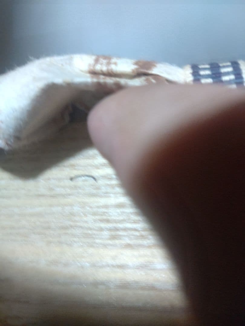 バツグンのアガリ!!若尾利貞造　志野花入　共箱　検（無形文化財