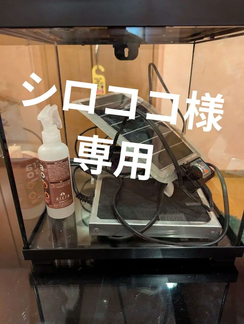 シロココ　爬虫類飼育セット