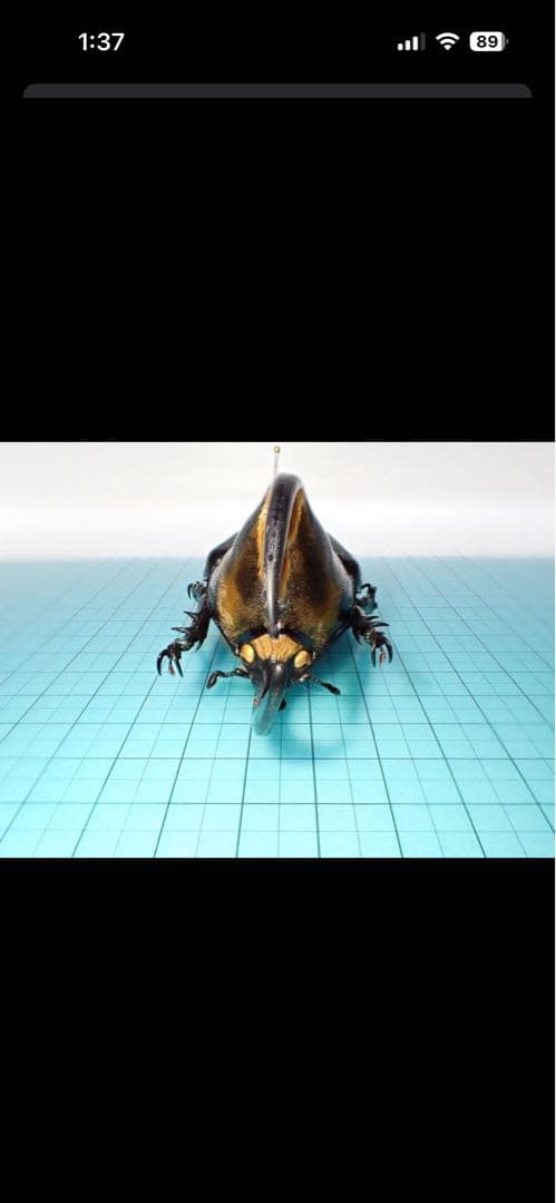 マルチ。〔返送〕