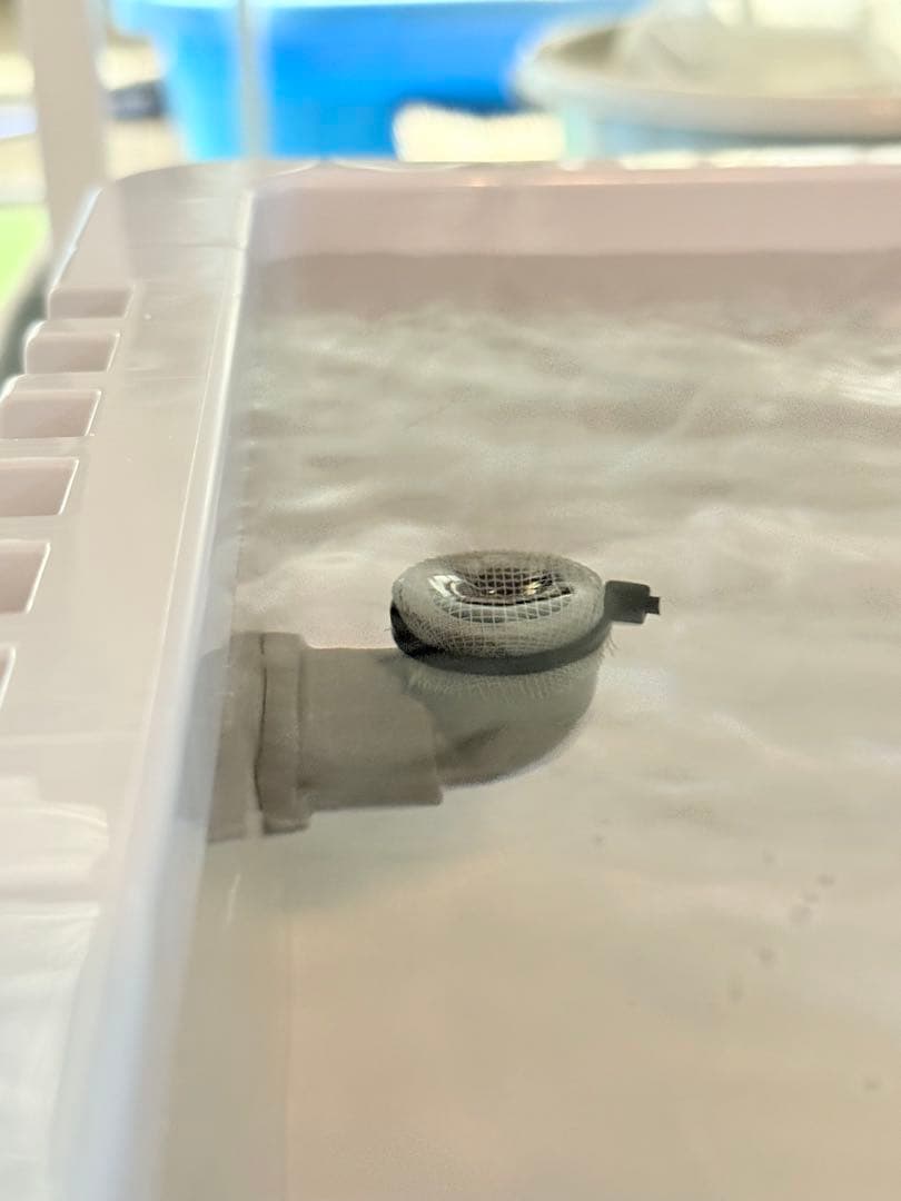 ★お買い得★たらい36L(5個)メダカ飼育容器オーバーフロー トロ舟プラ舟めだか