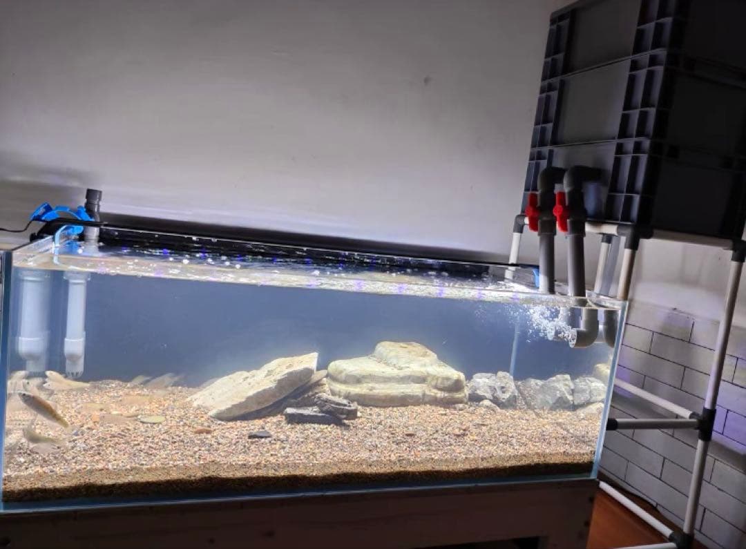 水槽池濾過器、1段階ろ材満タン付き三段式万能濾池大型水槽濾過層フィルター送料込み