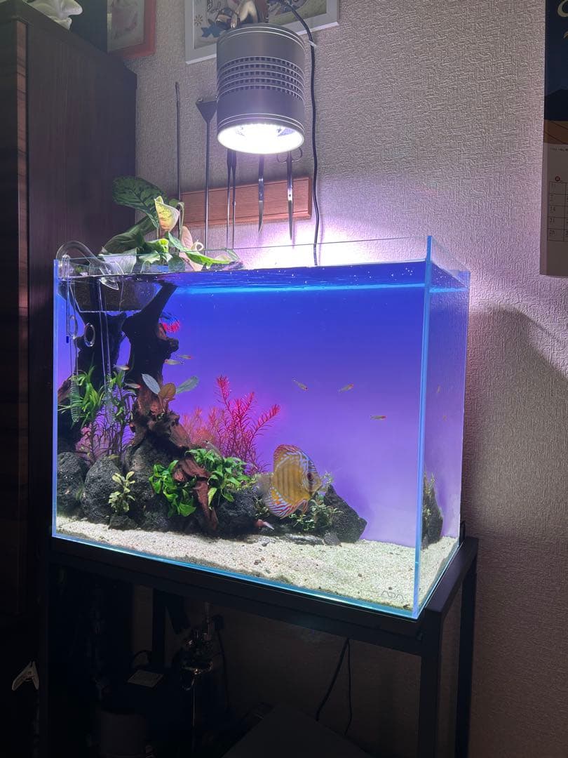 WRGB ライトスクリーン 60cm×45cm用