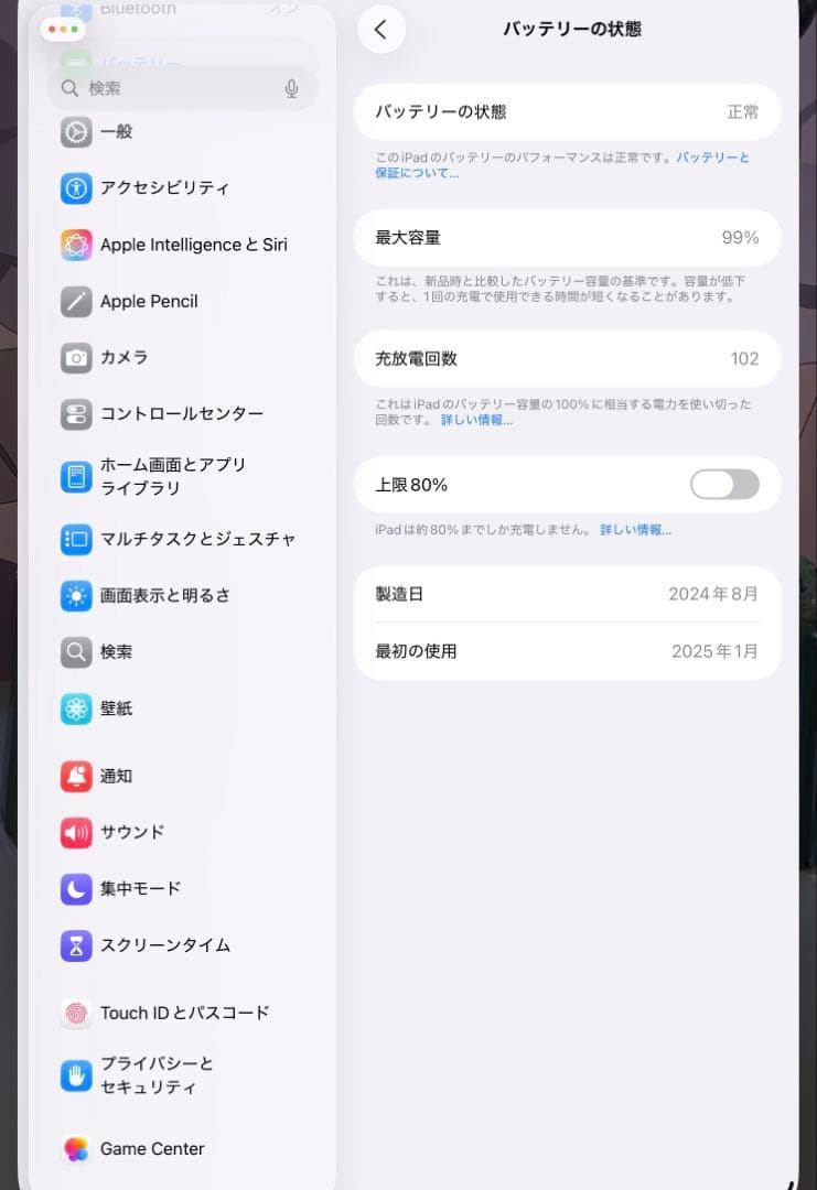 バッテリー容量99% iPad mini A17 Pro 128GB
