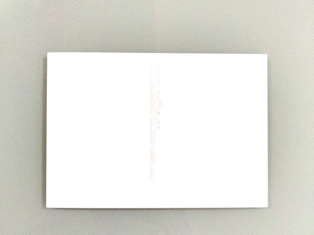 アグネス・ラム直筆サイン入り写真…Agnes Lum