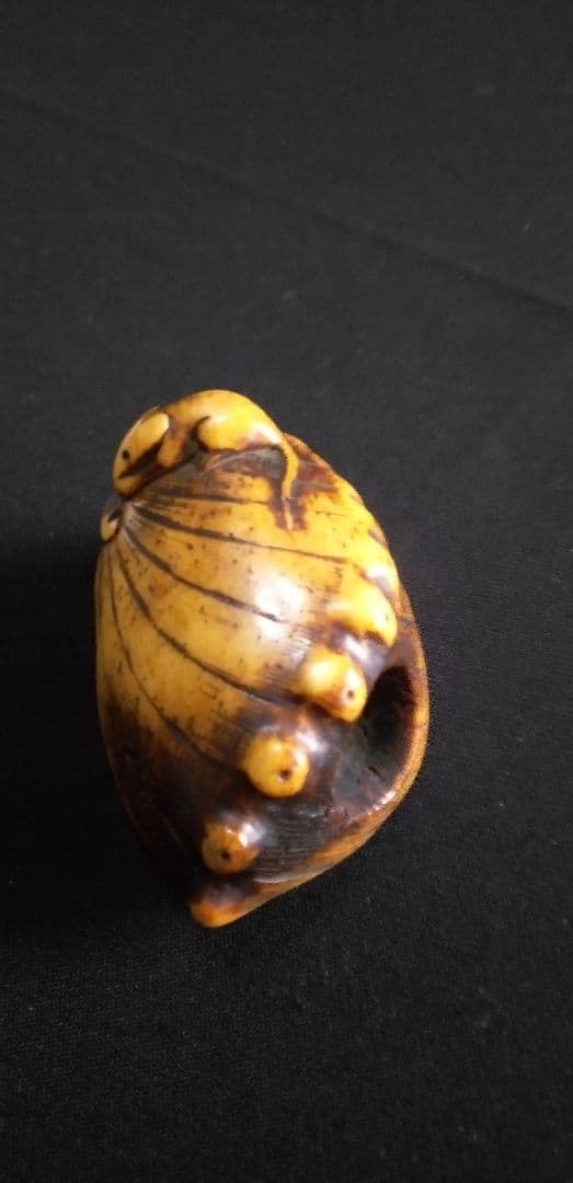 骨董時代提げ物、根付け鼠鮑の縁起物彫刻 約6cm