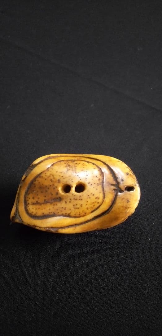 骨董時代提げ物、根付け鼠鮑の縁起物彫刻 約6cm