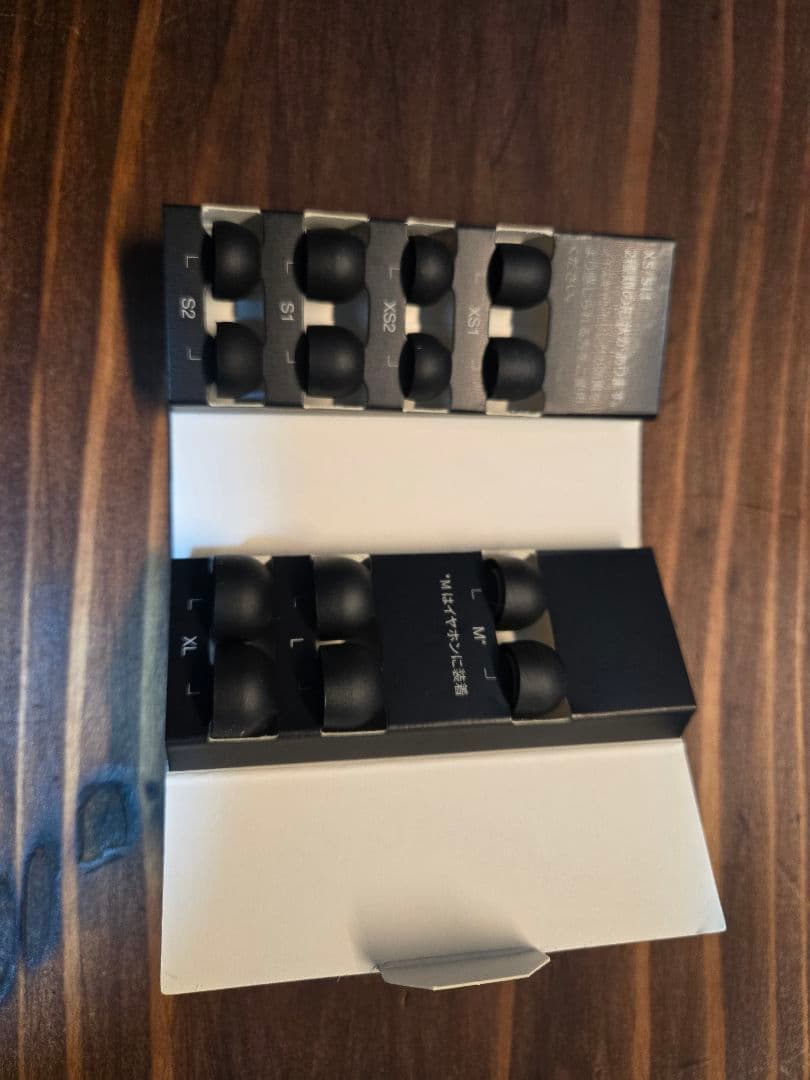 Technics EAH-AZ60M2 ワイヤレスイヤホン