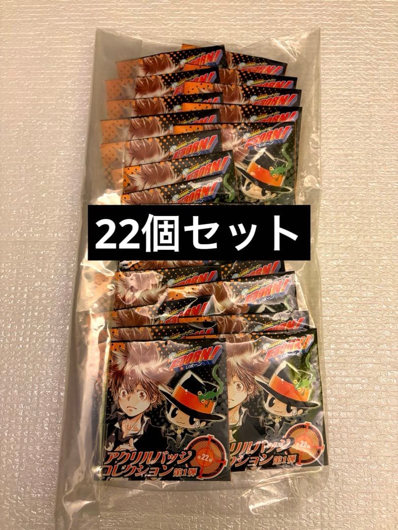 家庭教師ヒットマンＲＥＢＯＲＮ　アクリルバッジコレクション第１弾　22個