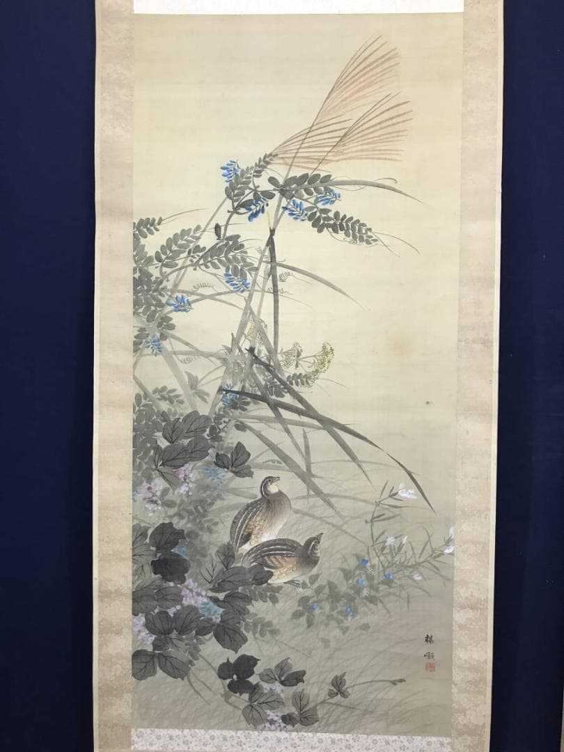 【真作】幸野楳峰/秋草鶉図/花鳥図/ウズラ図/掛軸/名家伝来/AC-293