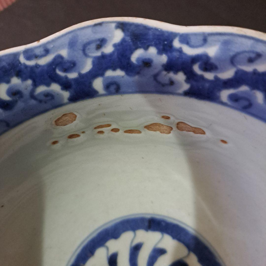 古伊万里　呉須染付青磁　深鉢　輪花赤縁　口太　高台　立割菊花図　江戸後期