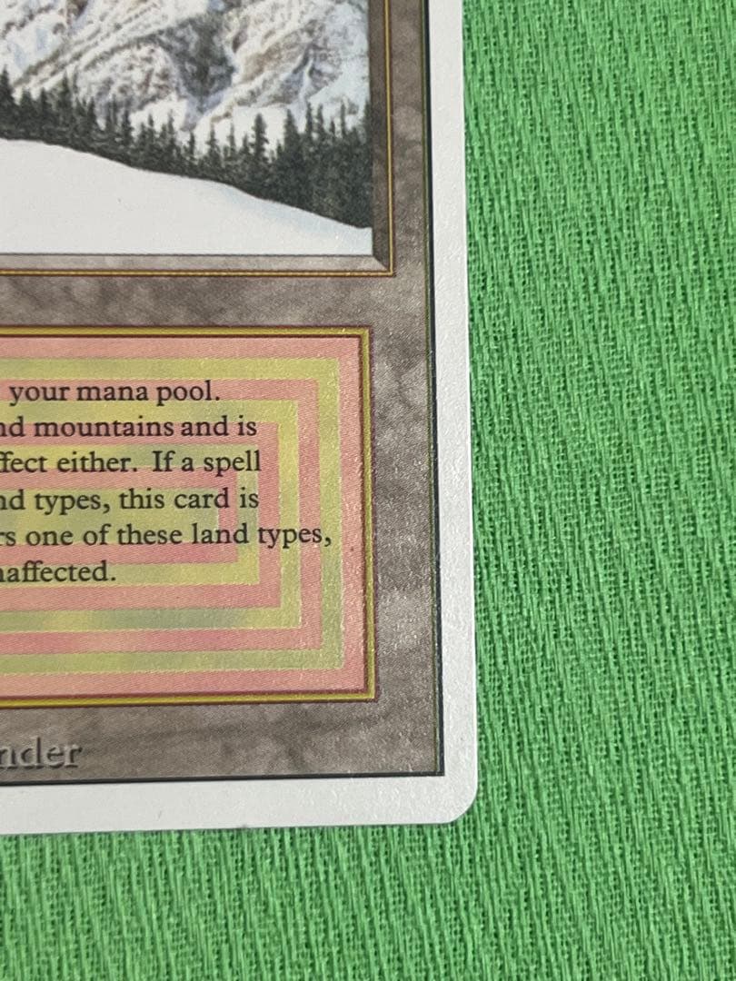 マジック：ザ・ギャザリング MTG Taiga