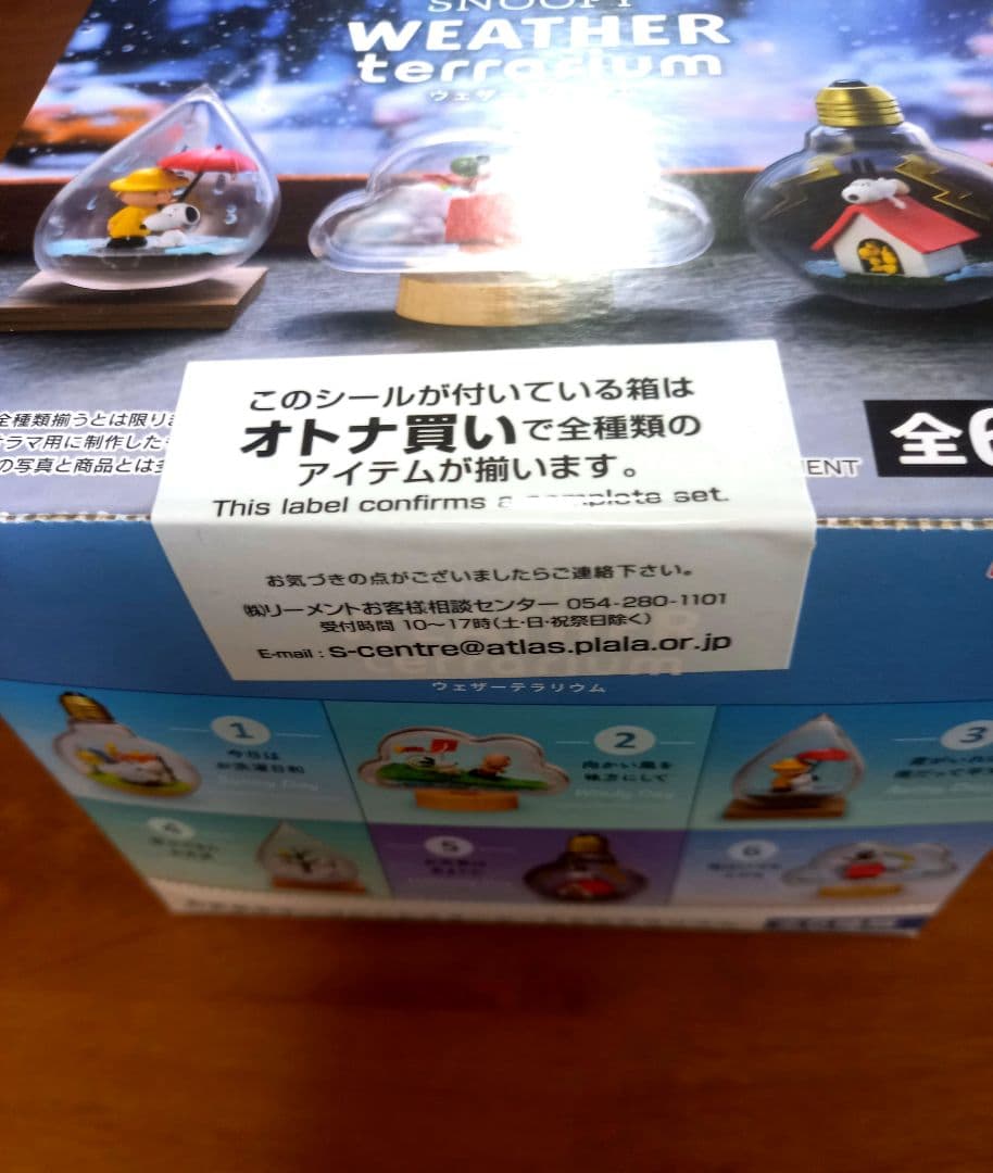 リーメント　スヌーピーウェザーテラリウム　１BOX