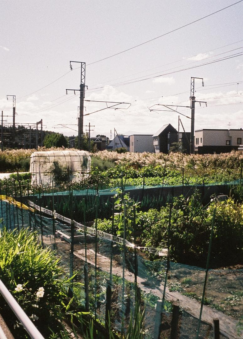 【フィルム試写あり・整備品】オリンパス　PEN-EES ３点ゾーンフォーカス